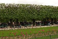 Krsn upraven park u Notre Dame.